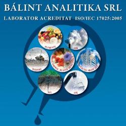 Balint Analitika S.r.l.