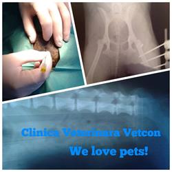 SC Vetcon SRL