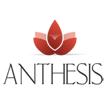 S.c. Anthesis International S.r.l