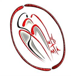 SC Mercrim D&d SRL