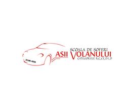 Asii Volanului