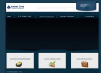 Website SC Asman Cons SRL