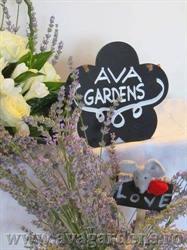 Ava Gardens
