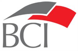 Business Concepts International