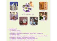 Website Cherubin Lily
