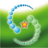 Galaxy Termo Trading S.r.l