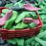 RECICLARE CALAPOASE PLASTIC  -HDPE