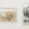 Insigne-printate