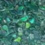macinatura hdpe verde