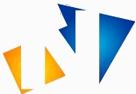 Netse Consulting