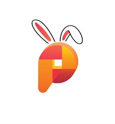 Point Public Affairs