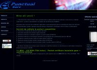 Website Punctual Serv S.r.l
