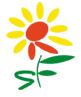 Romanian Flower Shop