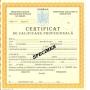 certificat calificare profesionala recunoscut