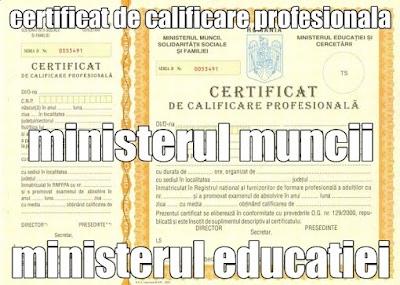 CURSUL-DE-BUCATAR
