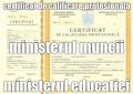 cursul de ospatar slatina olt