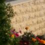 STAR STONE - Piatra Decorativa - Mont Blanc
