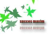 Succes Maxim S.r.l