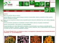 Website Succes Maxim S.r.l