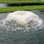 aerator ciuperca Hobby