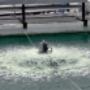 aerator propulse industrial