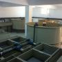 casa de incubatie PP