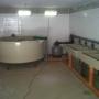 incubator PP