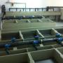 incubator brevetat PP