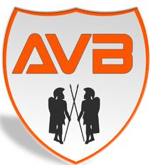 Avb Sisteme SRL