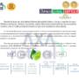 CV Companie Axa Roteal