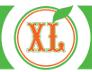 Grup Xl Company SRL