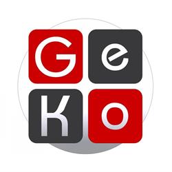 GeKo SRL,asigurări, incasari facturi, depuneri si retrageri Betano, okto, paysafecard