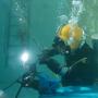 commercial divers