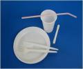 Pahare Albe si Cristal Plastic