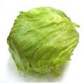 Salata Iceberg