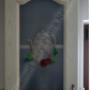 Foto 003