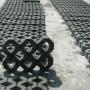 pavele ecologice60x40x8