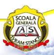 Şcoala Generală Clasele i-Viii Avram Stanca