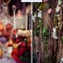 Candy bar indedit