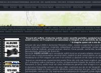 Website Video Achim PF
