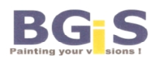 Bgis S.r.l.