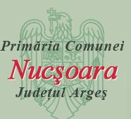 Primăria Nucsoara
