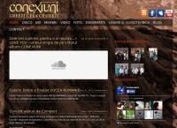 Website SC Conexiuni SRL