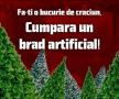 Sc. Aroma Prodcom SRL