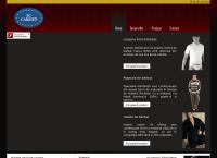 Website SC Carmen SRL