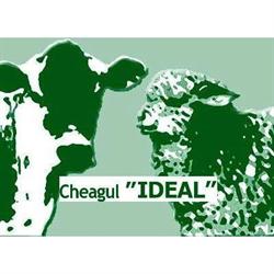 Cheag Ideal