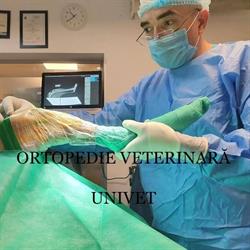 Univet S.r.l