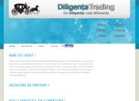 Website Diligenta Trading S.r.l