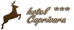 Hotel Caprioara