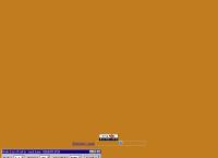 Website PALET NSD GROZA S.R.L.